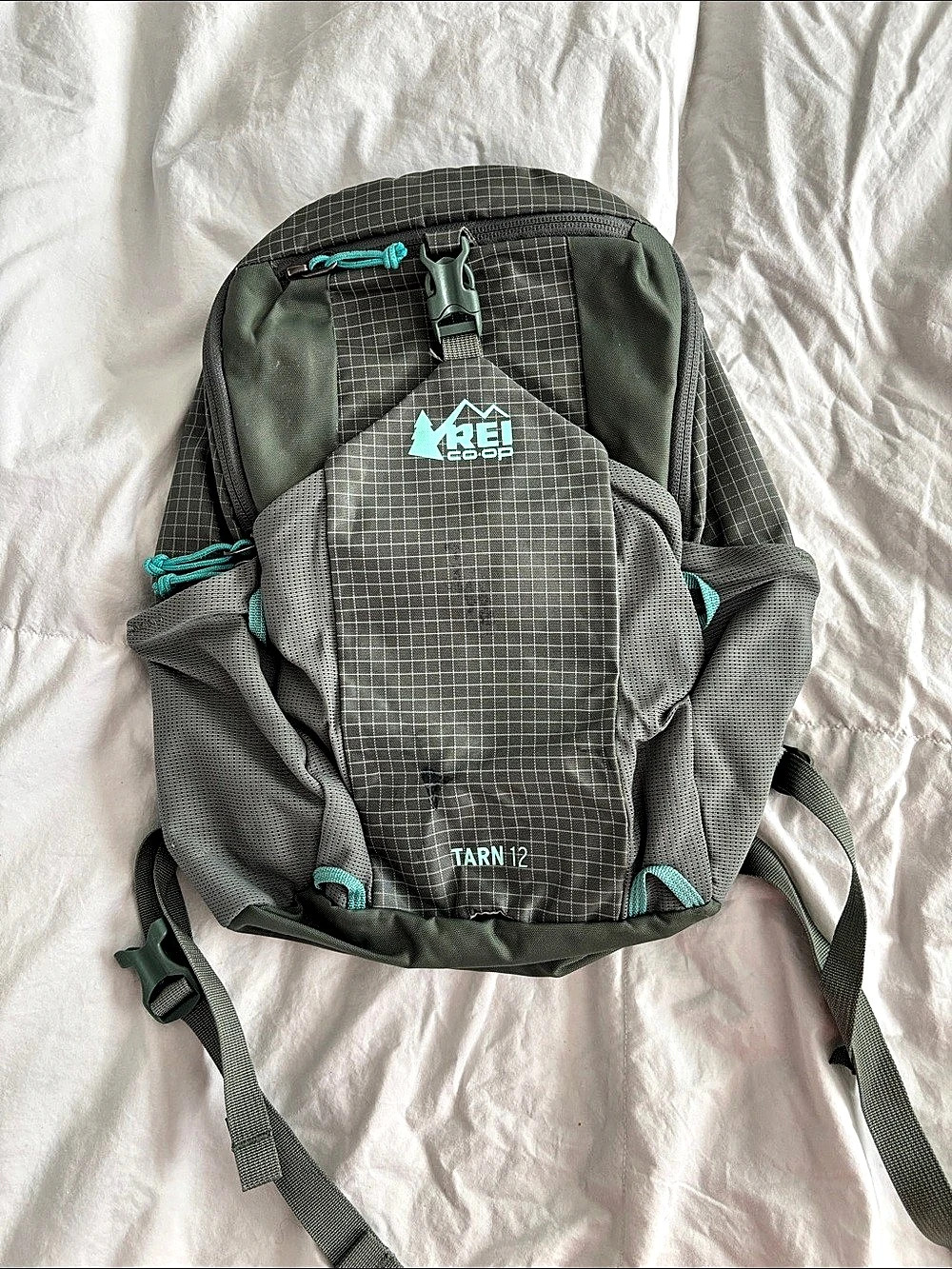 REI Tarn 12 Backpack in Gray & Green